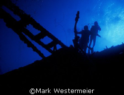 Hilma Hooker - Image taken in Bonaire with a Nikonos V, 1... by Mark Westermeier 